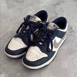 Nike Dunks Sneakers